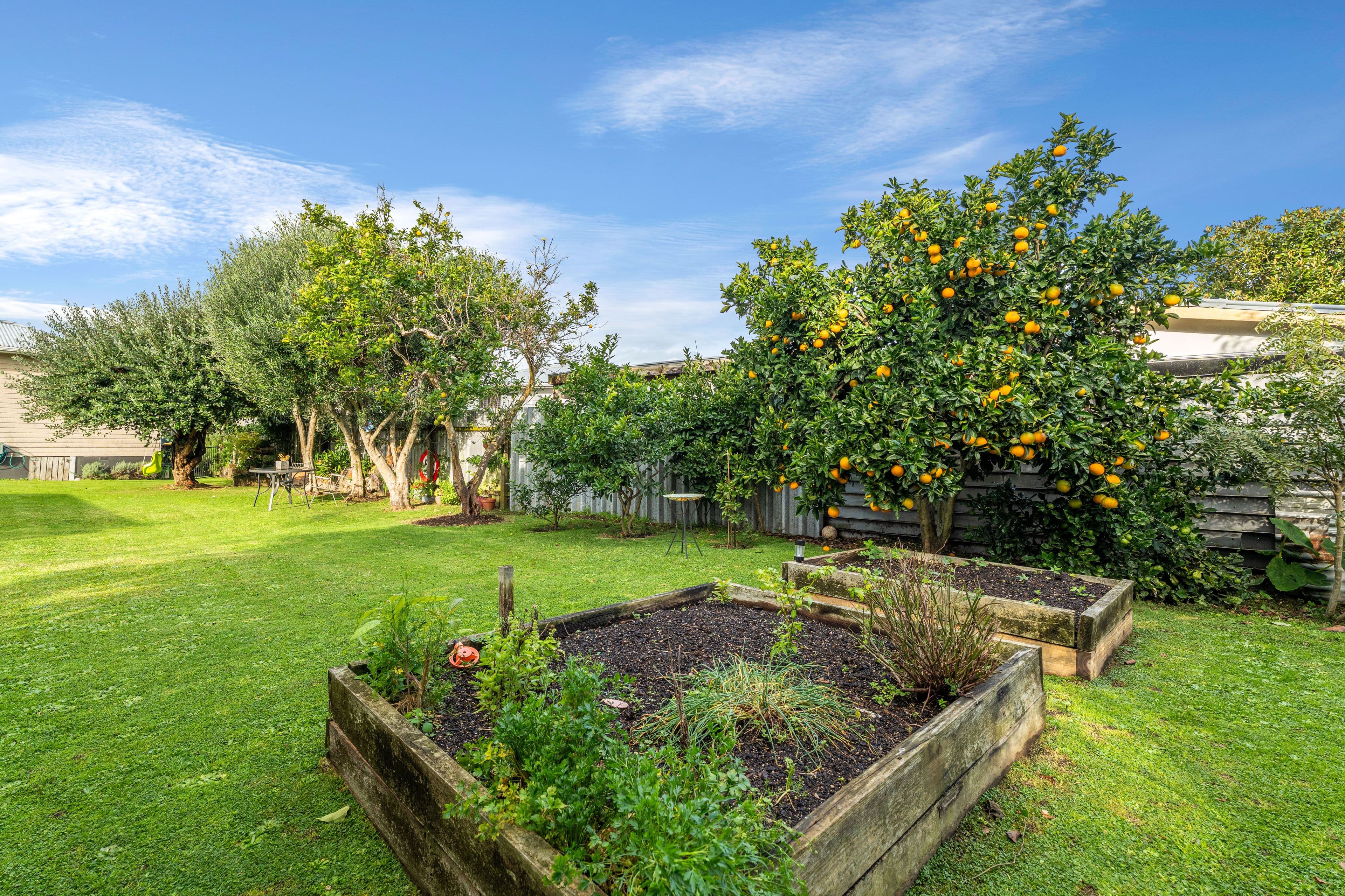 15 Albion Place: photo 7